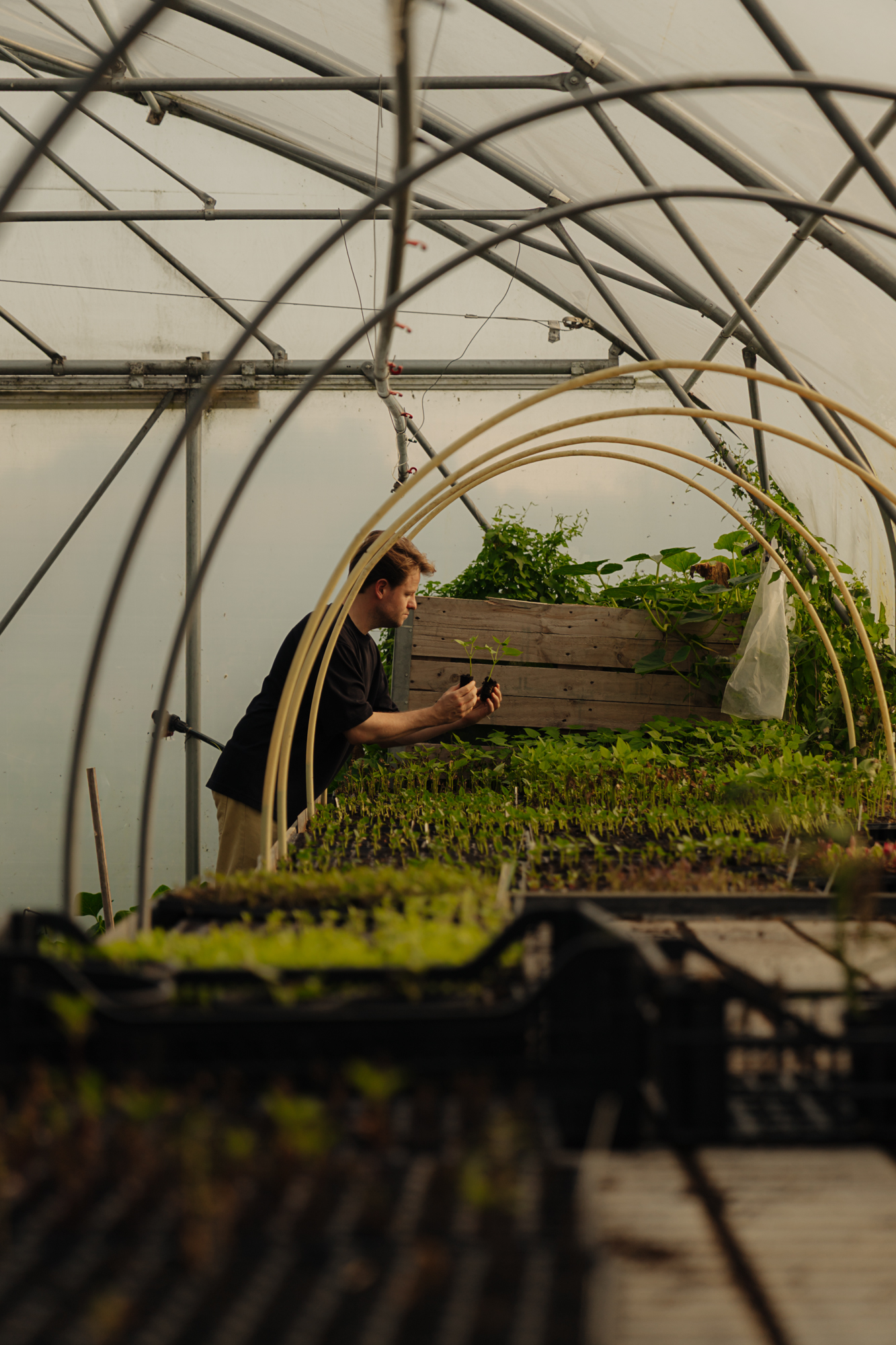 Restaurant Flore in Amsterdam – conscious fine dining with seasonal and sustainable ingredients.